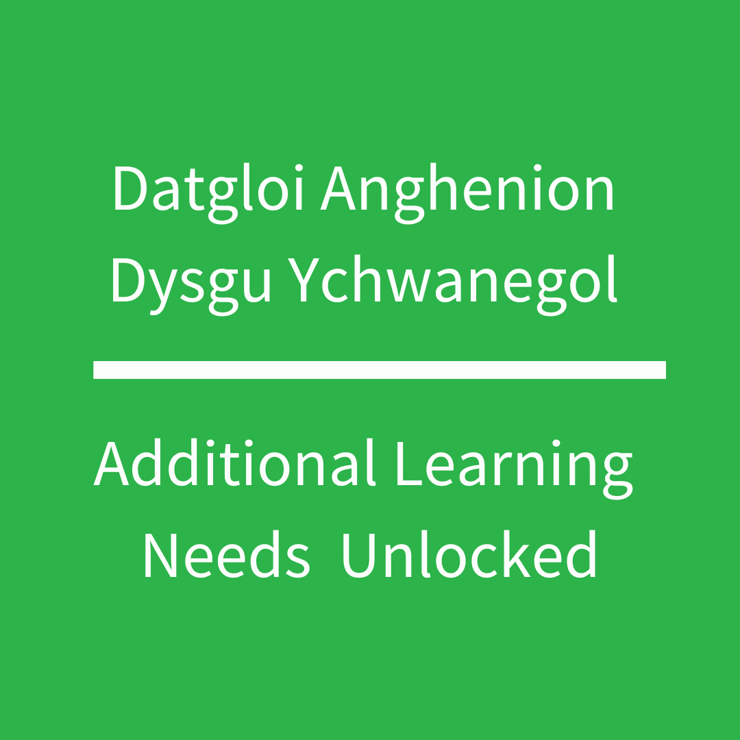 Additional Learning Needs (ALN) Unlocked: David Bartram OBE