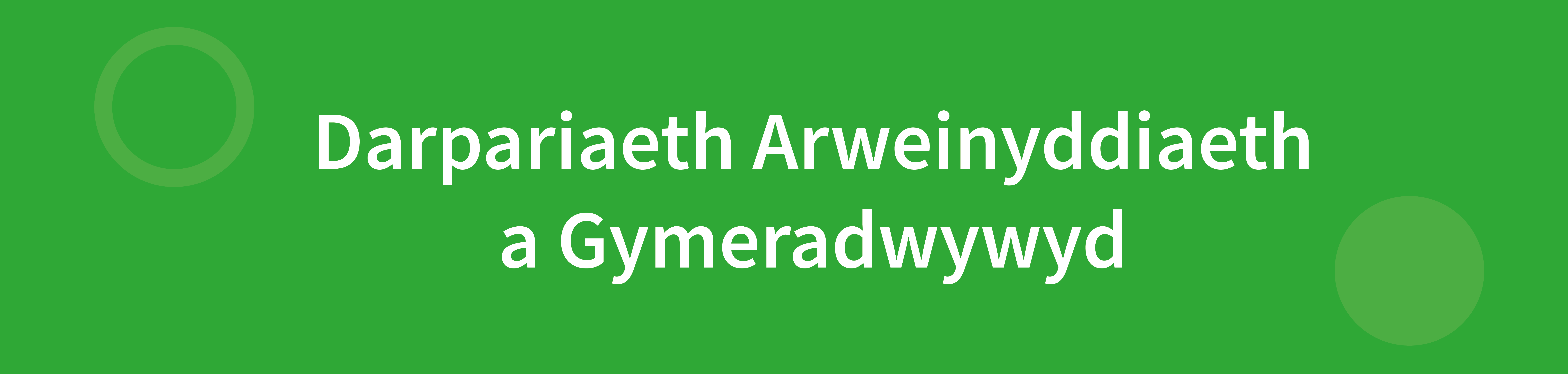Endorsed Leadership Provision Header Welsh
